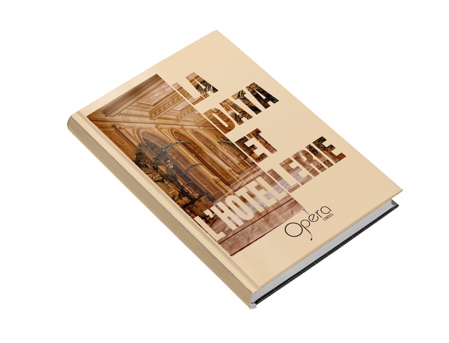 livre-blanc-la-data-et-l’hotellerie-mockup livre-blanc-la-data-et-l'hotellerie-mockup