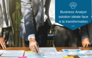 Business Analyst