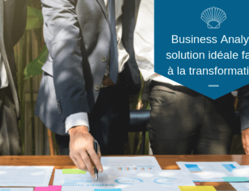 Le Business Analyst la solution idéale face à la transformation