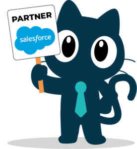 matt-partner-salesforce partner cat opera conseil