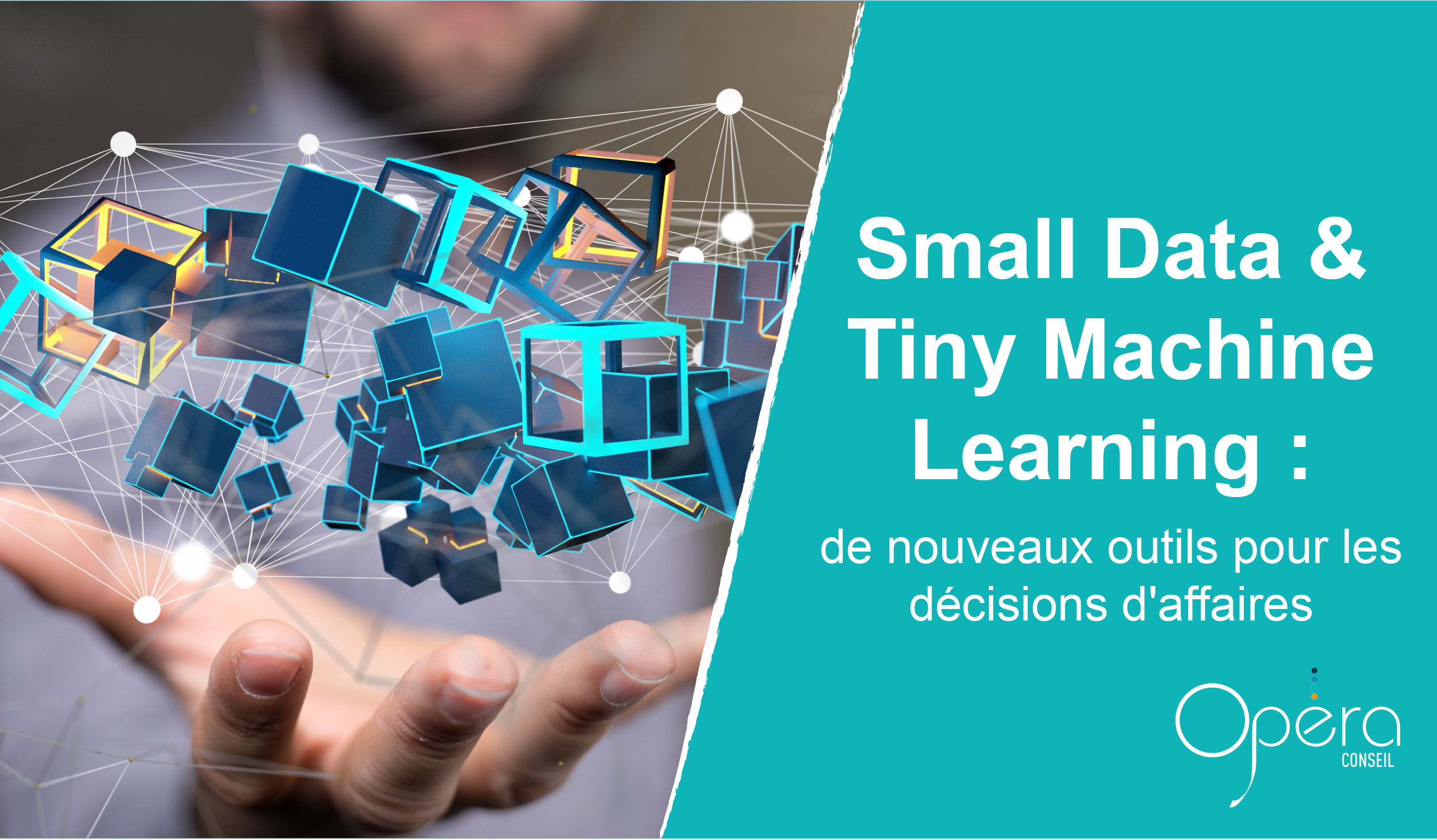 Small Data et Tiny Machine Learning : de nouveaux outils pour les décisions d'affaires