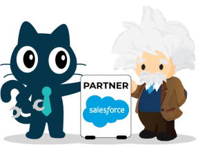 Matt le chat à gauche. Au milieu une affiche partner Salesforce et à droite Einstein Discovery de Salesforce.