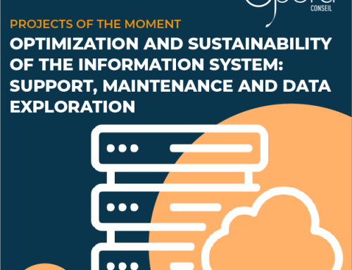 Optimization and Sustainability of the Information System: Support, Maintenance and Data Exploration