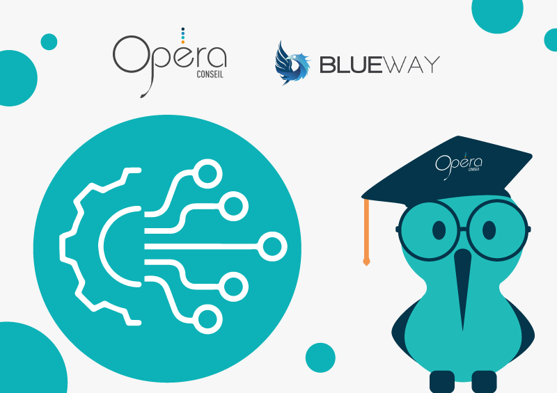 Blueway : ESB/ETL – Optimisation du flux de données en utilisant la mémoire