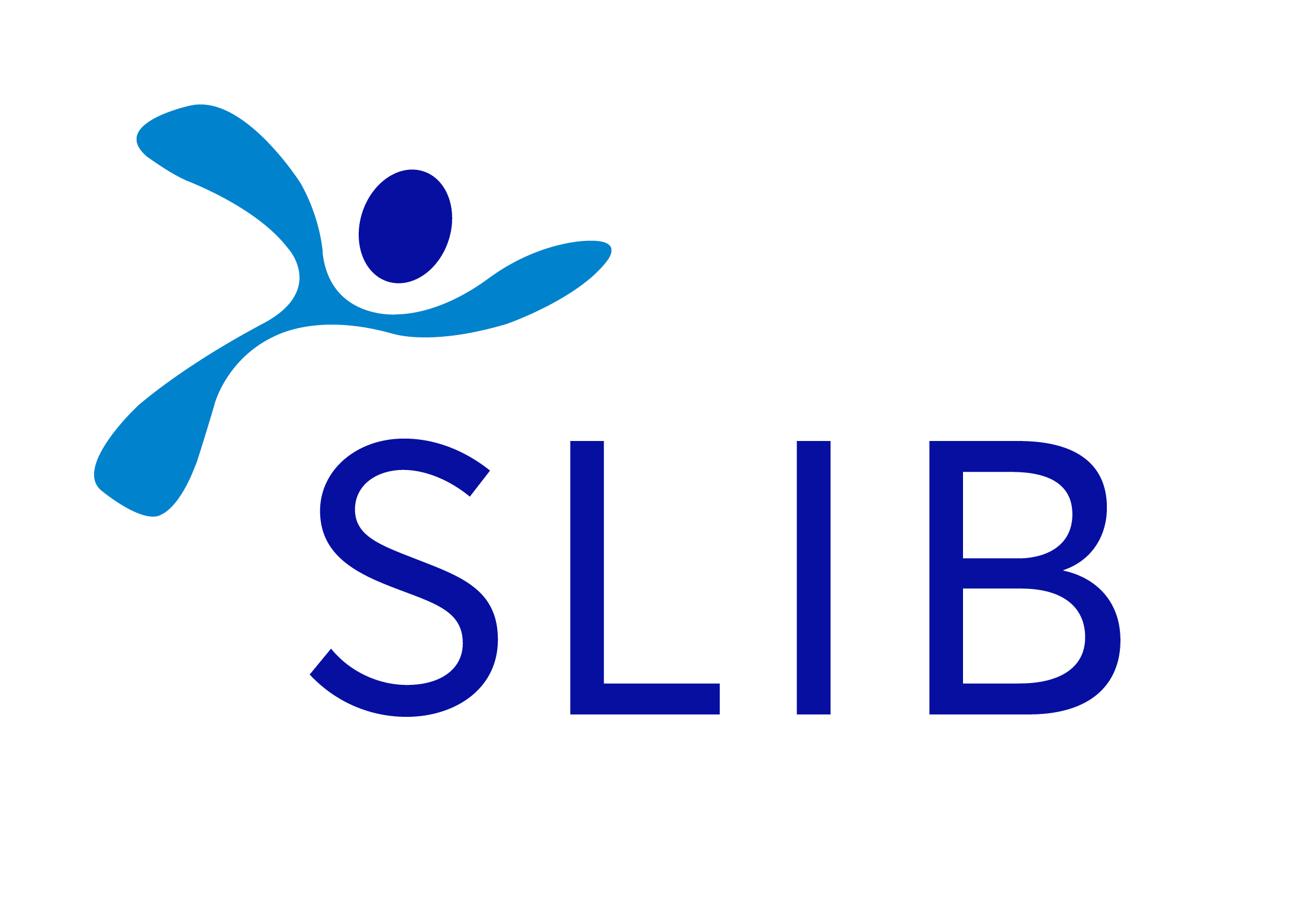 Slib